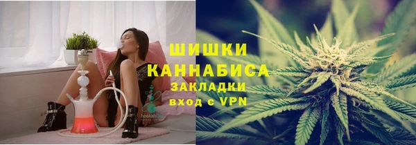 дживик Лагань